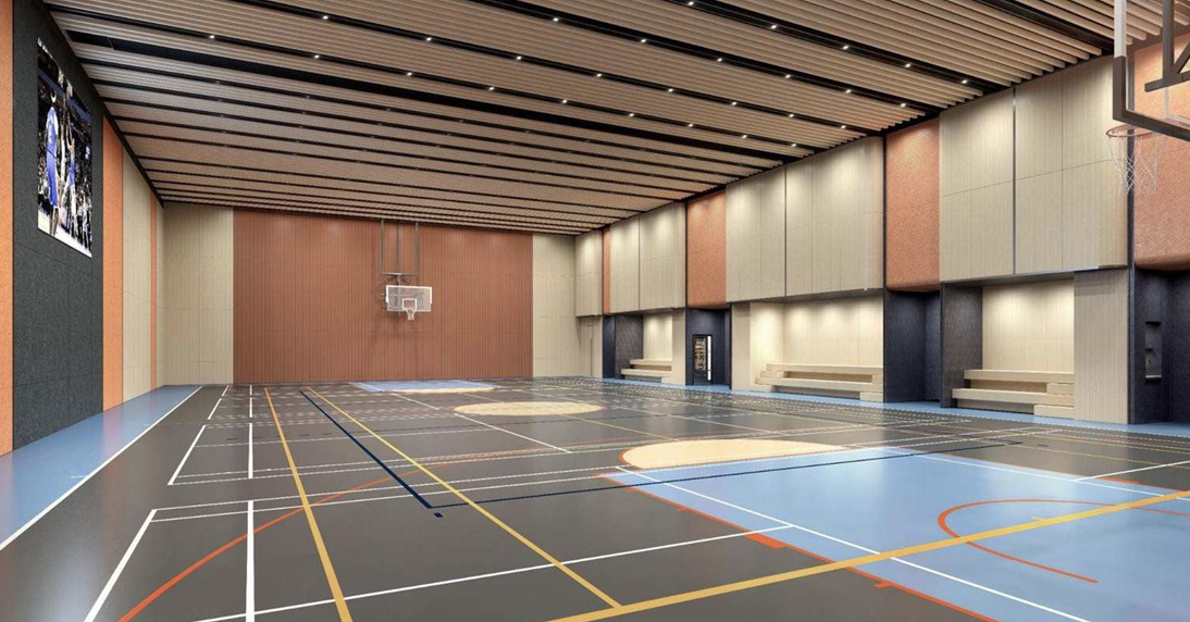 室內多用途球場